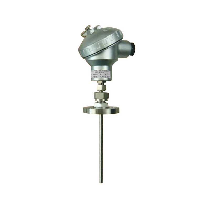 Cineál mount flange soghluaiste